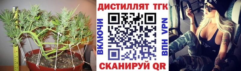ТГК THC oil  где купить наркотик  Рудня 